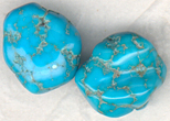 chinese turquoise